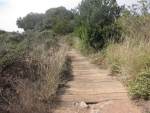 View the album Mount Tamalpais
