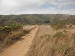 View the album Mount Tamalpais