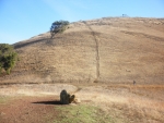 02_Coyote_hill.jpg