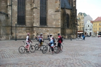 P1060238a.jpg