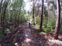 K10h_2013_06.jpg