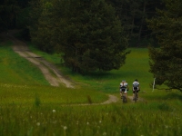 K10h_2013_17.jpg