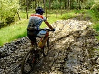 K10h_2013_19.jpg