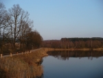 Dolejší padrťský rybník