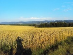 View the album 1000 miles adventure Czecho-Slovakia 2011